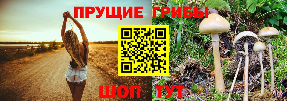 Псилоцибиновые грибы Magic Shrooms  Псилоцибиновые грибы Cubensis  Вход с VPN  Полевской 