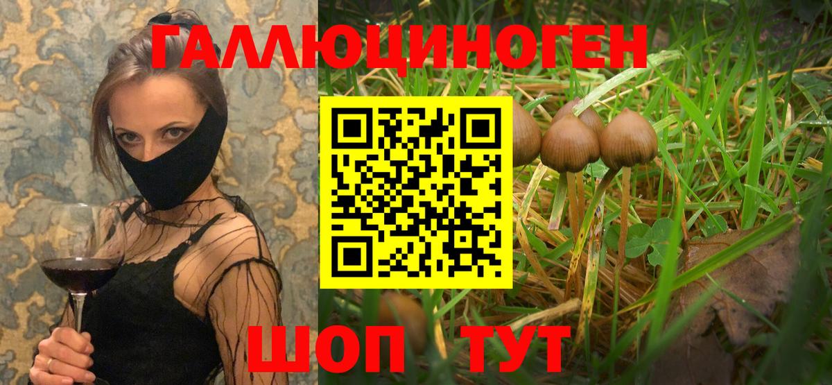 Псилоцибиновые грибы MAGIC MUSHROOMS Полевской